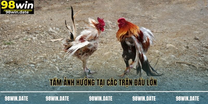 Tầm ảnh hưởng tại các trận đấu lớn 