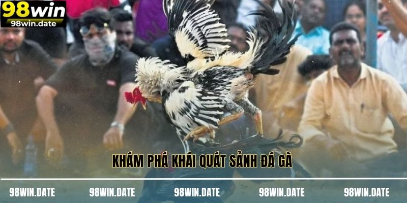 Khám phá khái quát sảnh đá gà 