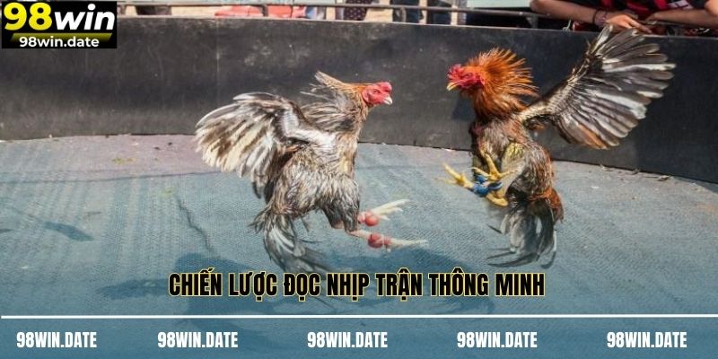 Chiến lược đọc nhịp trận thông minh Chiến lược đọc nhịp trận thông minh