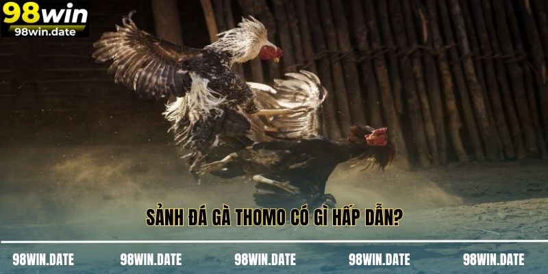 Phiên bản cựa dao đặc sắc cho cược thủ Phiên bản cựa dao đặc sắc cho cược thủ