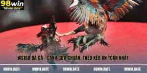 WS168 Đá Gà – Canh Cửa Chuẩn, Theo Kèo An Toàn Nhất 