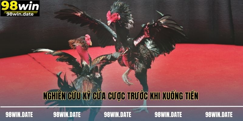 Nghiên cứu kỹ cửa cược trước khi xuống tiền Nghiên cứu kỹ cửa cược trước khi xuống tiền