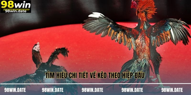 Tìm hiểu chi tiết về kèo theo hiệp đấu Tìm hiểu chi tiết về kèo theo hiệp đấu