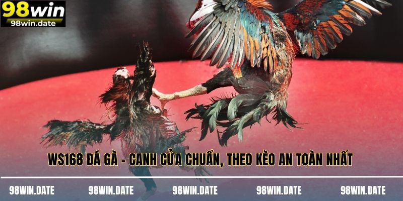 WS168 Đá Gà – Canh Cửa Chuẩn, Theo Kèo An Toàn Nhất